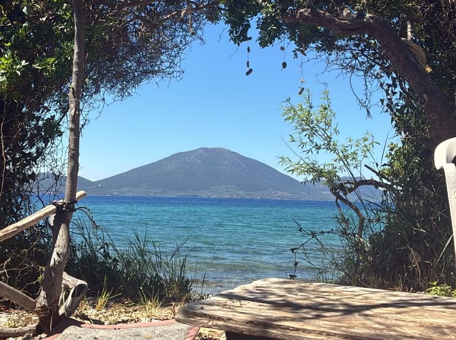 The sea and mountain framed by olive branches