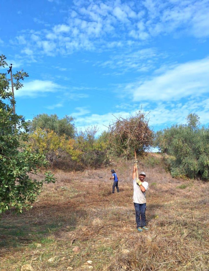 Clearing the land together