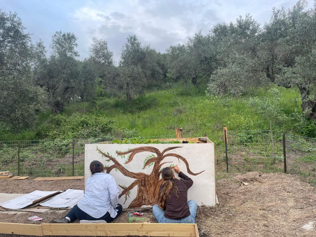 Painting an olive tree mural on the garden bed
